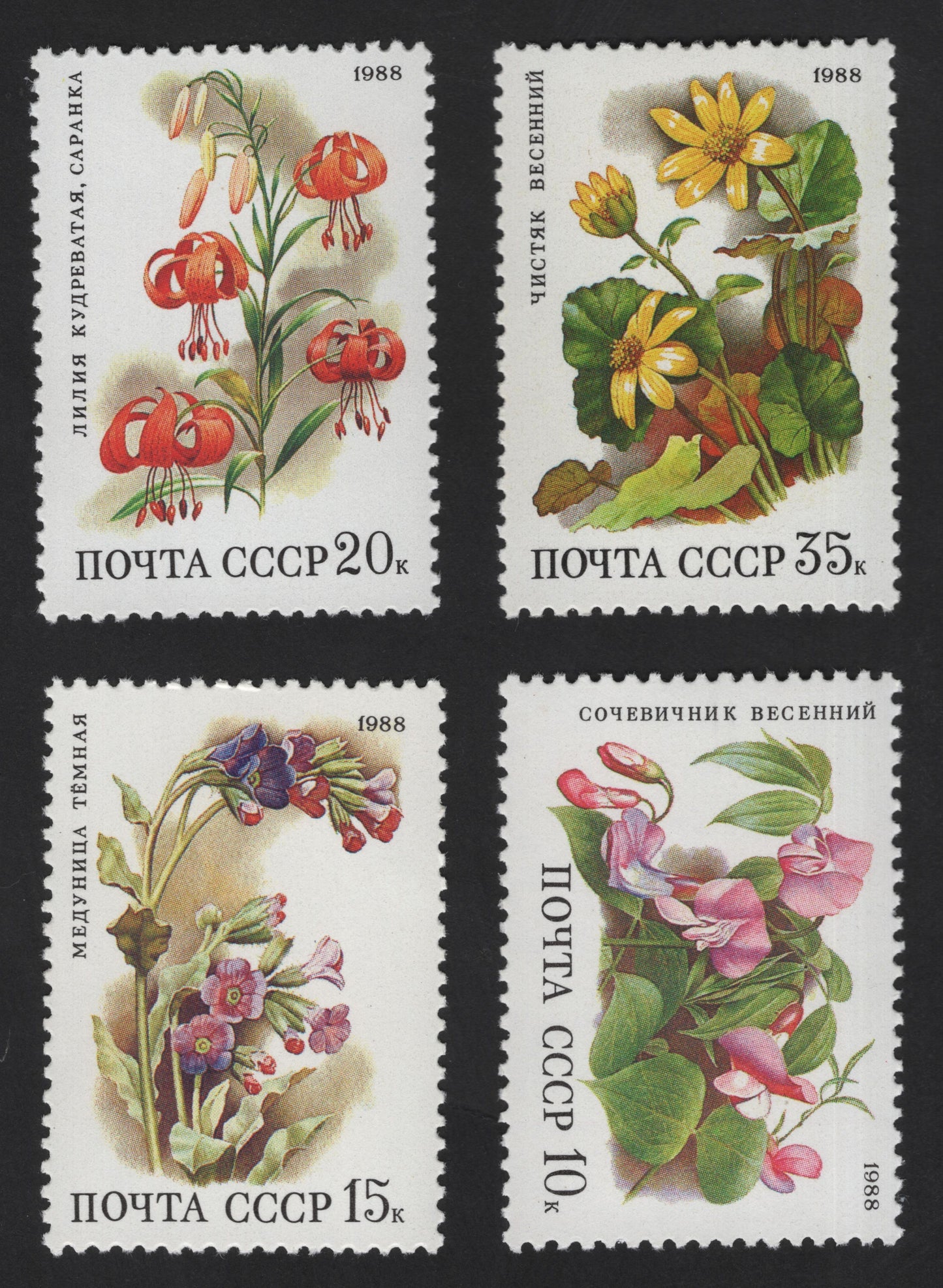 SCG13260 - USSR 1988 Wild Flowers of the Soviet Union Stamp Set