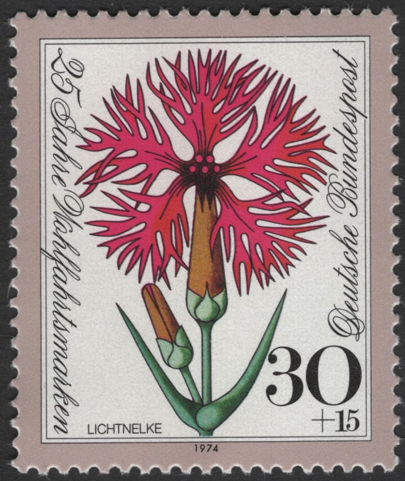 SCG11910 - 1974 German Welfare (Wohlfahrtsmarken) Flowers Semi-Postal Set