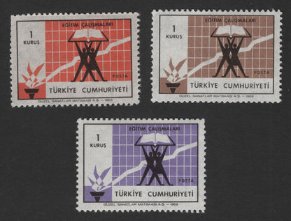 SCG11821 - Turkey 1969 Education Development Campaign – 1 Kuruş Multicolor Set