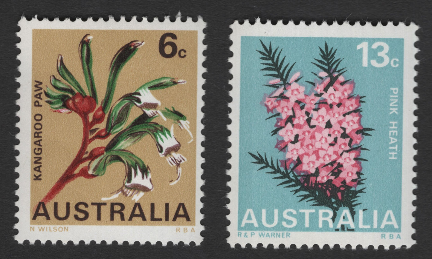 SCG11979 - Australia Native Wildflowers – Kangaroo Paw & Pink Heath