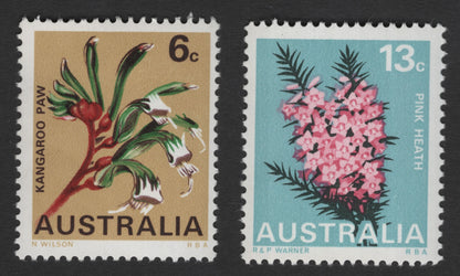 SCG11979 - Australia Native Wildflowers – Kangaroo Paw & Pink Heath