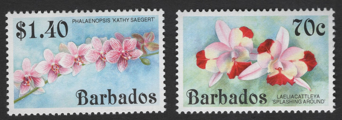 SCG11981 - Barbados Orchid Definitive Pair – Phalaenopsis & Laeliacattleya Varieties