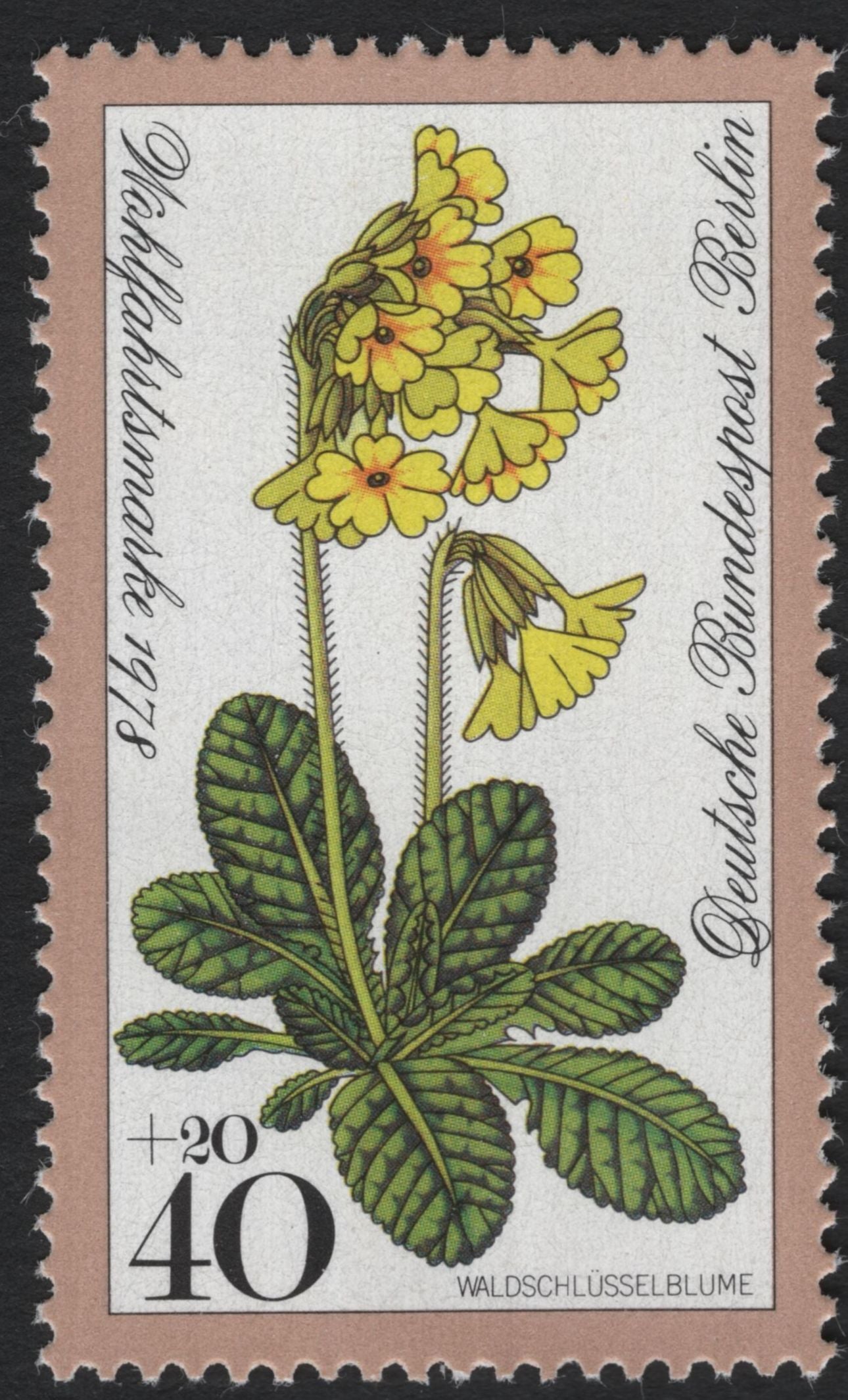 SCG8126 - West Berlin 1978 Welfare Series – Forest Flowers