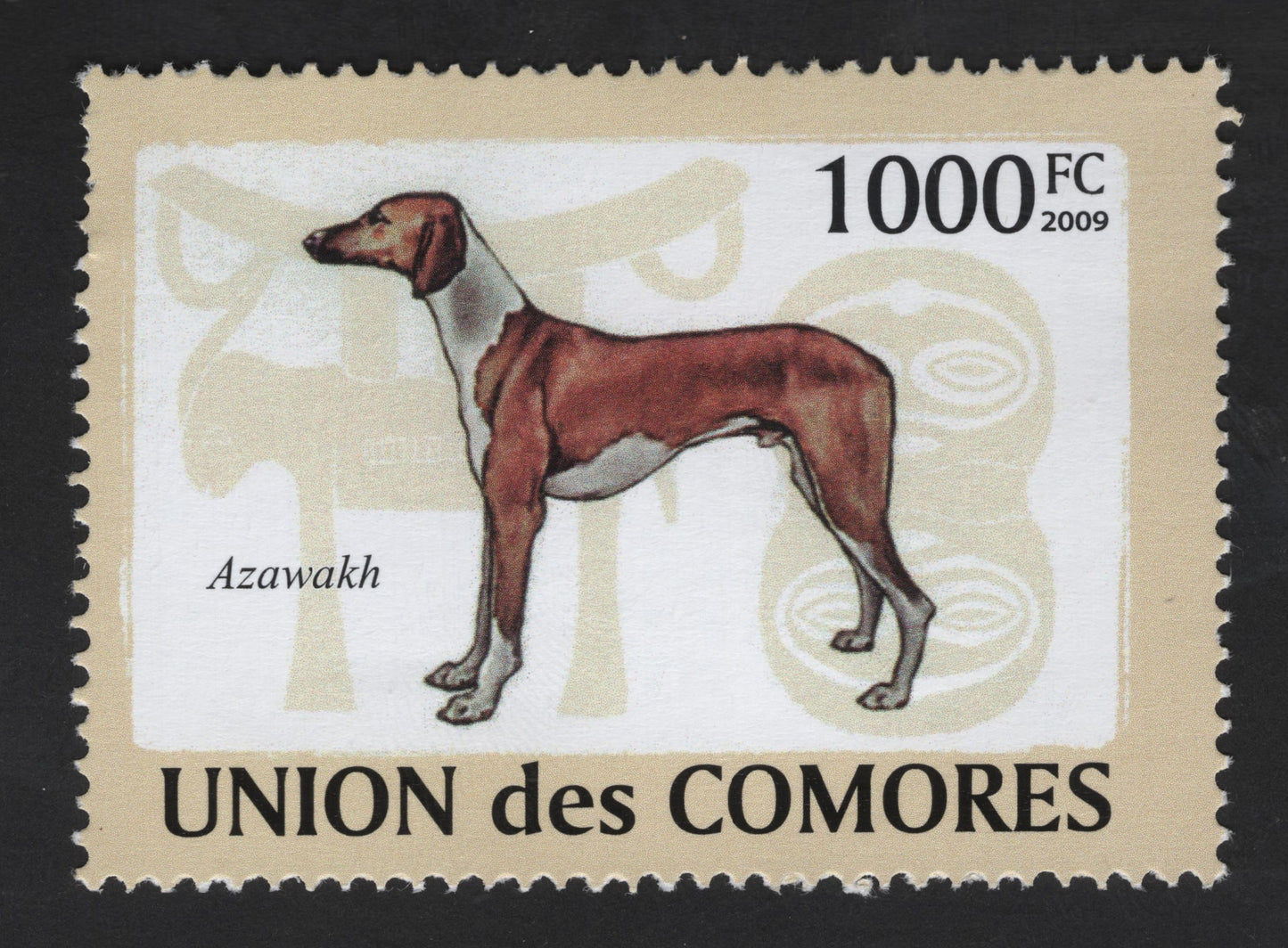 SCG13279 - Azawakh Dog Breed – Comoros 1000 FC Stamp (2009)