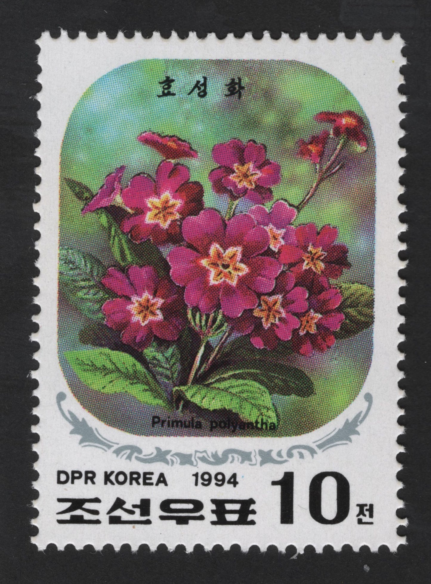 SCG13298 - Primula Polyantha Flower – DPR Korea 1994 (10 Chon)