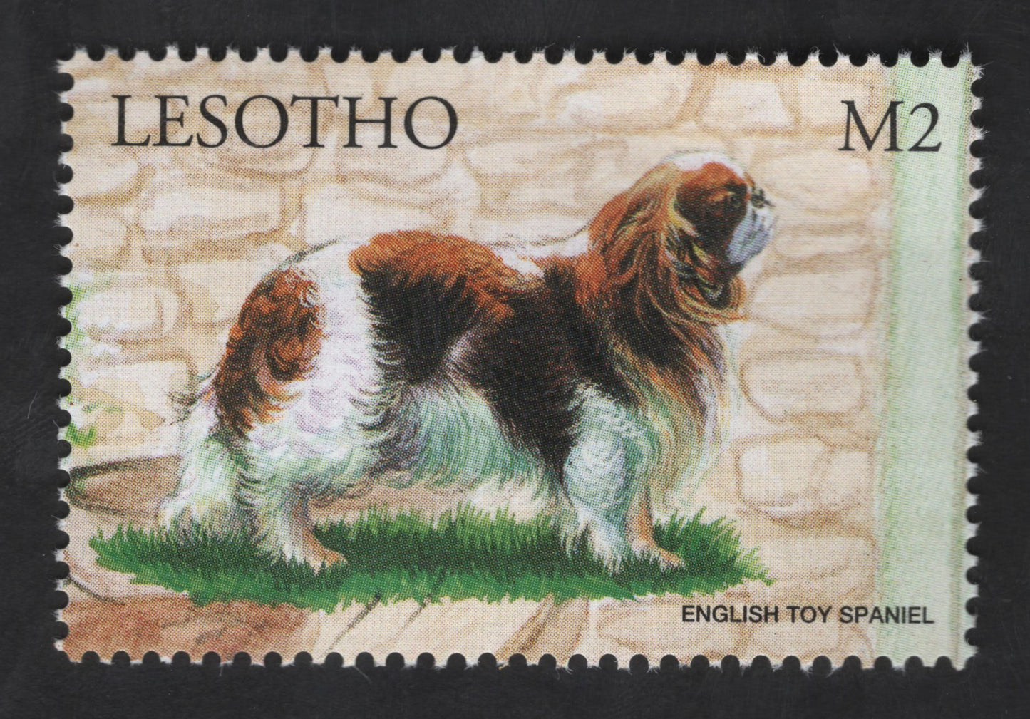 SCG13304 - English Toy Spaniel – Lesotho M2 Dog Breed Stamp