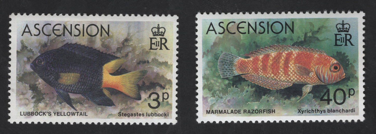 SCG13481 - Ascension Island Marine Fish Stamps – Lubbock’s Yellowtail & Marmalade Razorfish