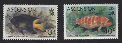 SCG13481 - Ascension Island Marine Fish Stamps – Lubbock’s Yellowtail & Marmalade Razorfish