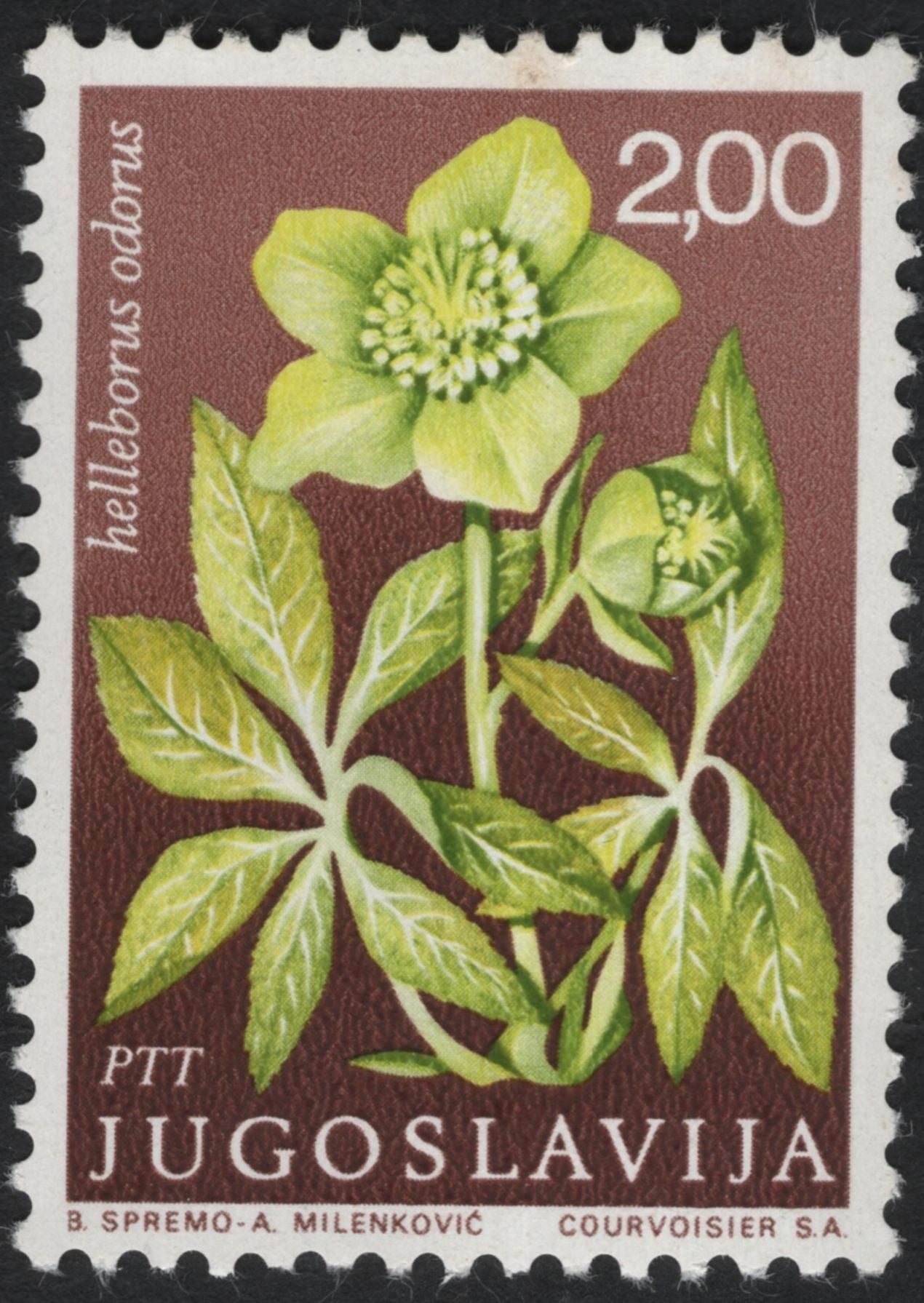 SCG10956 - Yugoslavia – Native Flora (Botanical Series) Stamp Set