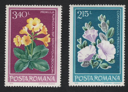 SCG10963 - Romania 1979 – Alpine & Coastal Flora (Primula auricula & Convolvulus persicus) – Pair