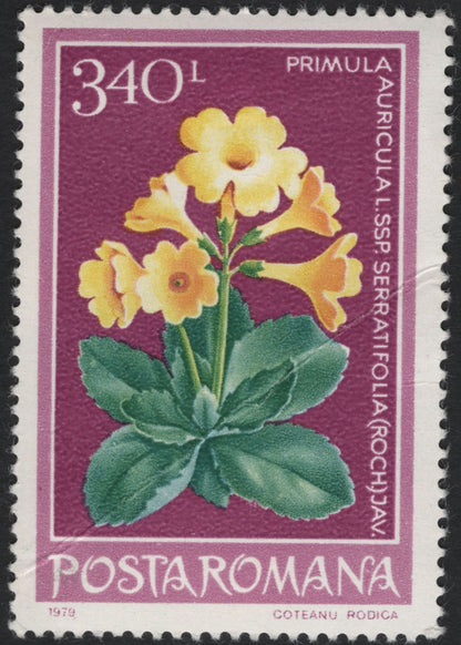 SCG10963 - Romania 1979 – Alpine & Coastal Flora (Primula auricula & Convolvulus persicus) – Pair