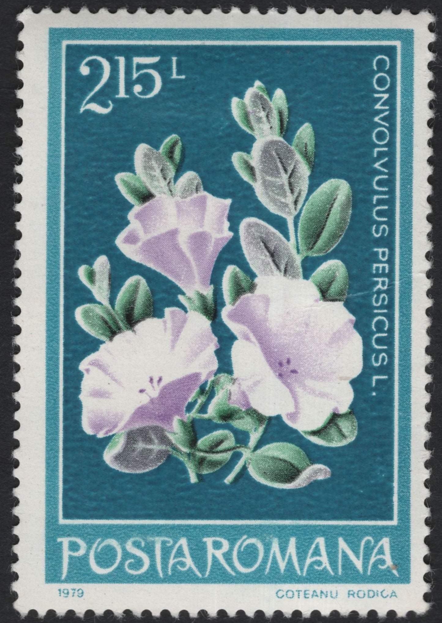 SCG10963 - Romania 1979 – Alpine & Coastal Flora (Primula auricula & Convolvulus persicus) – Pair