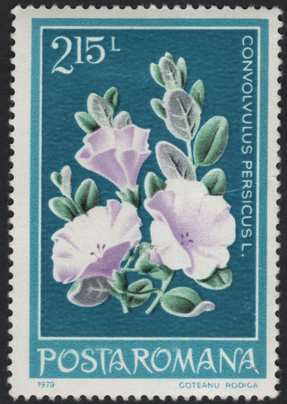 SCG10963 - Romania 1979 – Alpine & Coastal Flora (Primula auricula & Convolvulus persicus) – Pair