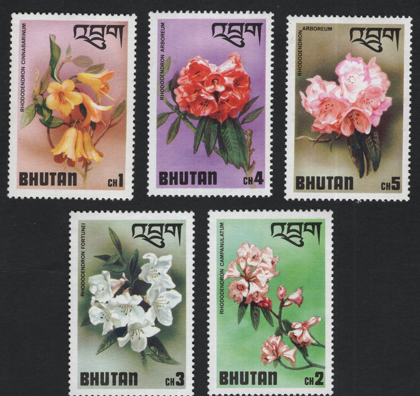 SCG10965 - Bhutan Rhododendrons Definitive Set – Floral Issue (Various Species)