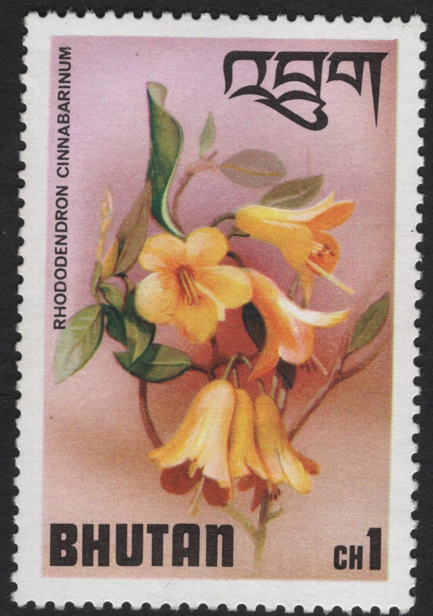 SCG10965 - Bhutan Rhododendrons Definitive Set – Floral Issue (Various Species)