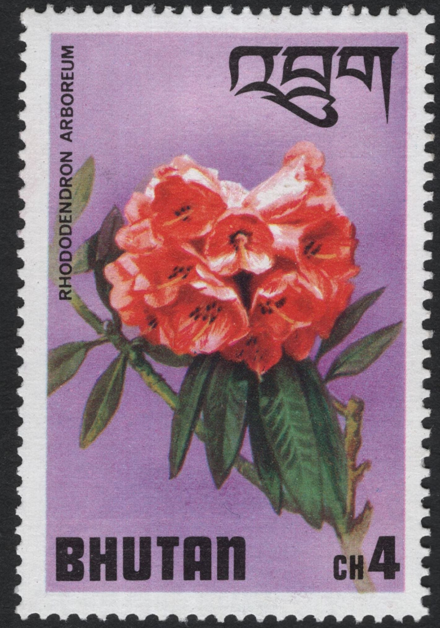 SCG10965 - Bhutan Rhododendrons Definitive Set – Floral Issue (Various Species)