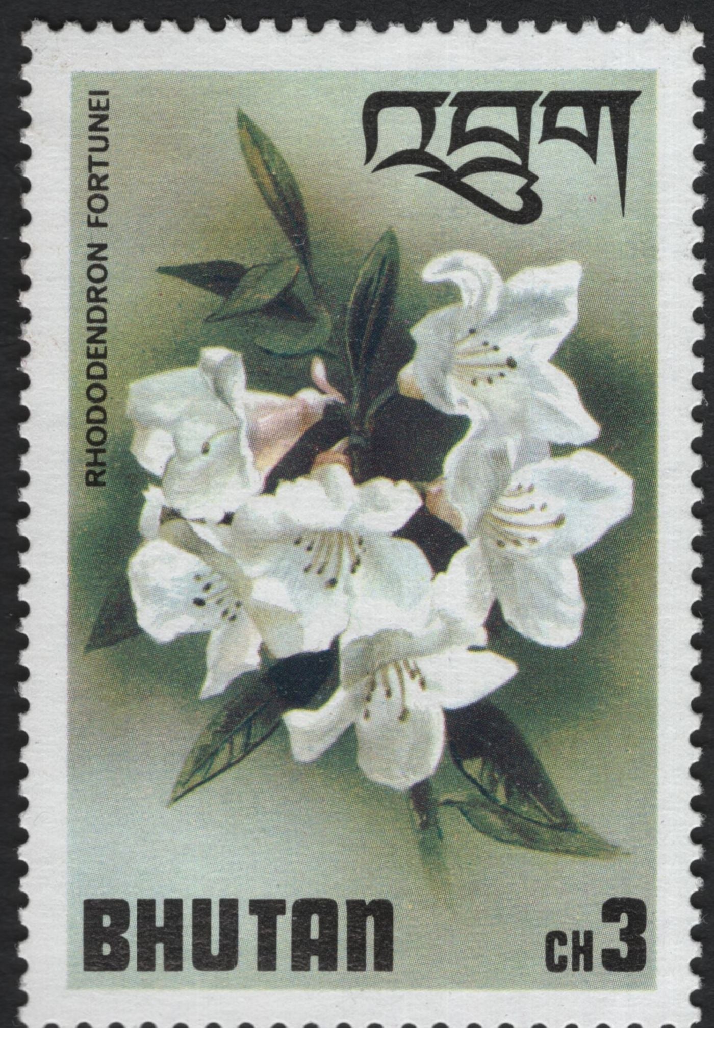 SCG10965 - Bhutan Rhododendrons Definitive Set – Floral Issue (Various Species)