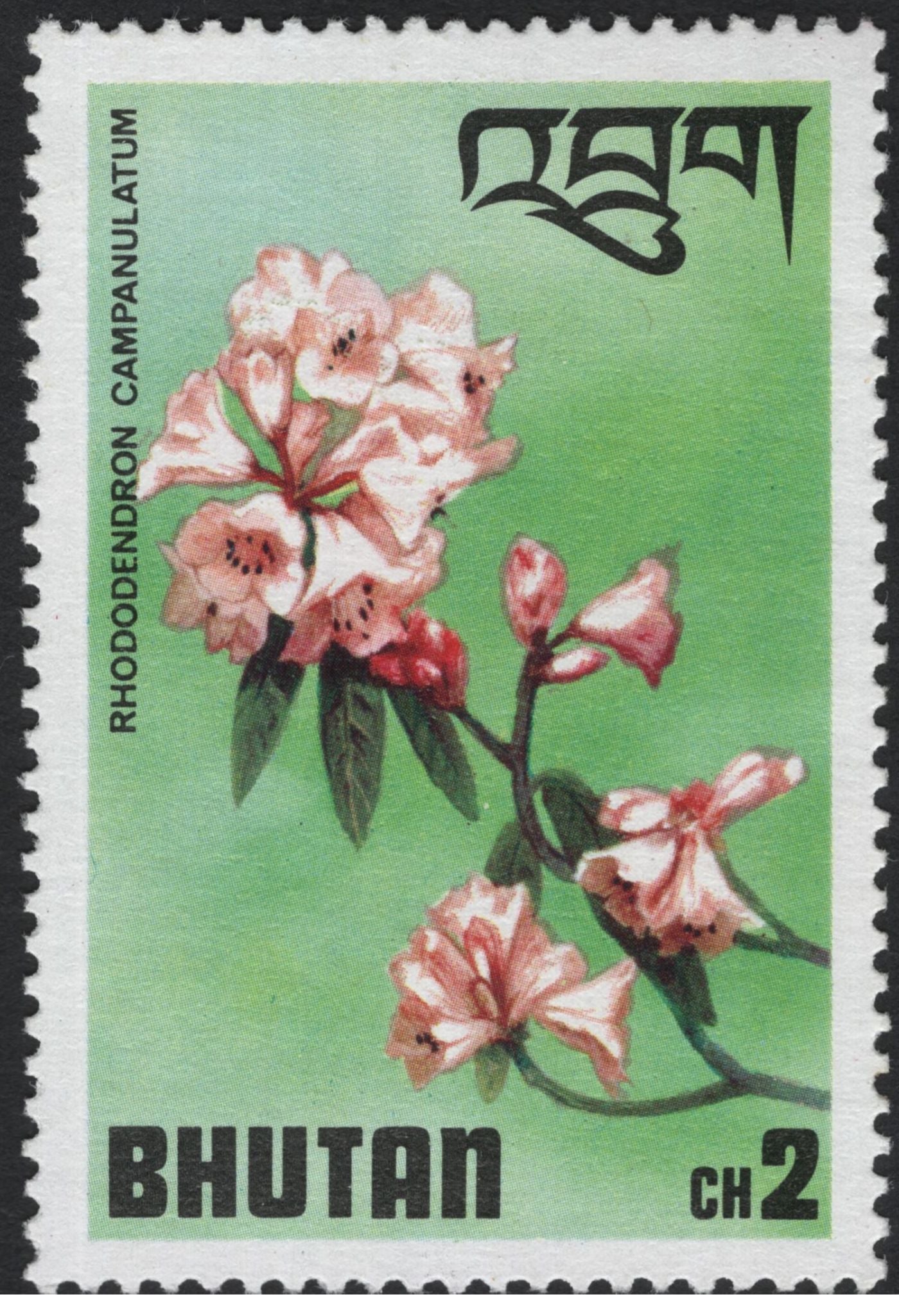 SCG10965 - Bhutan Rhododendrons Definitive Set – Floral Issue (Various Species)