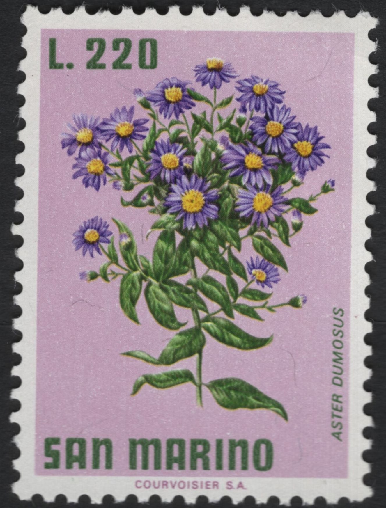 SCG10972 - San Marino – Native Alpine & Meadow Flowers Definitive Set (6 Values)