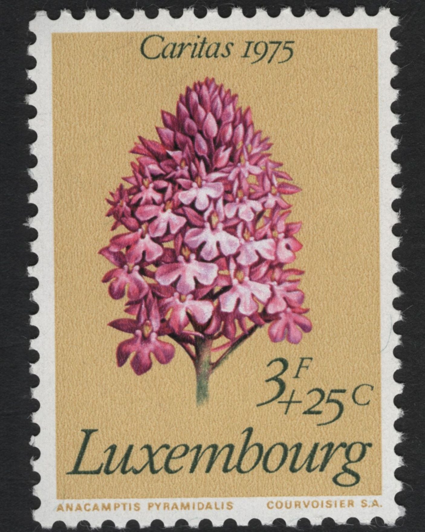 SCG11092 - Luxembourg – Caritas Semi-Postal Floral & Orchid Series (1975–1977)