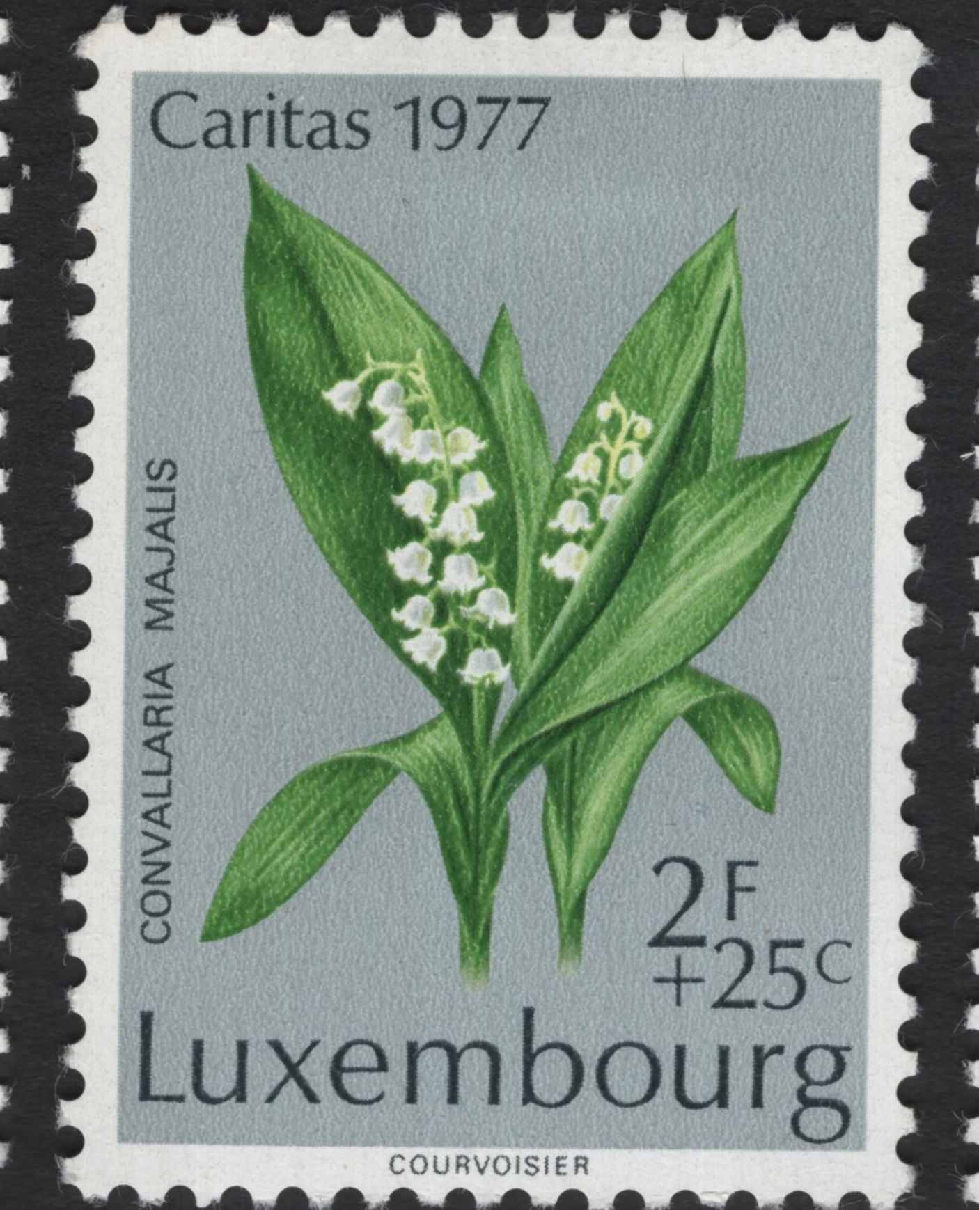 SCG11092 - Luxembourg – Caritas Semi-Postal Floral & Orchid Series (1975–1977)