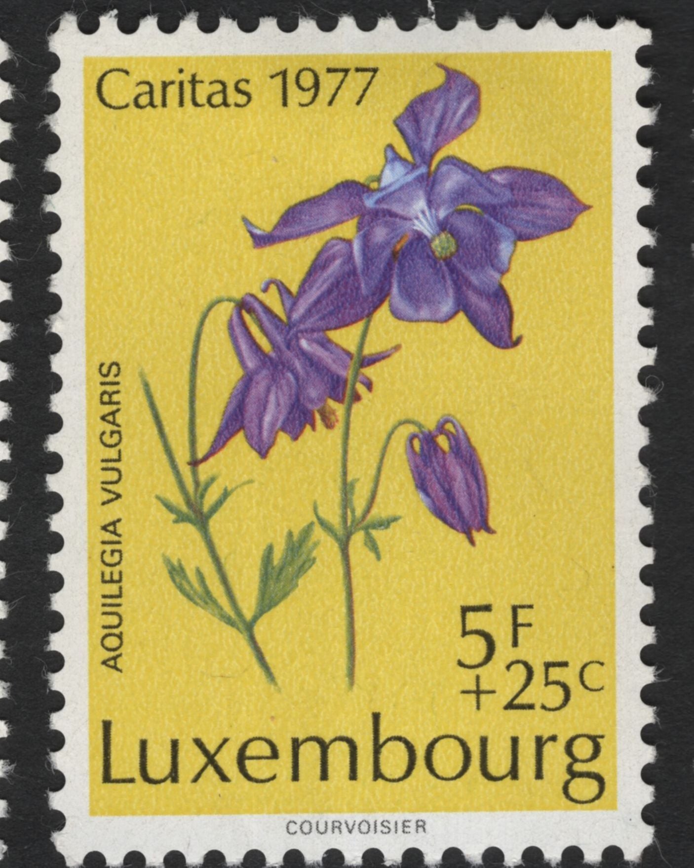 SCG11092 - Luxembourg – Caritas Semi-Postal Floral & Orchid Series (1975–1977)