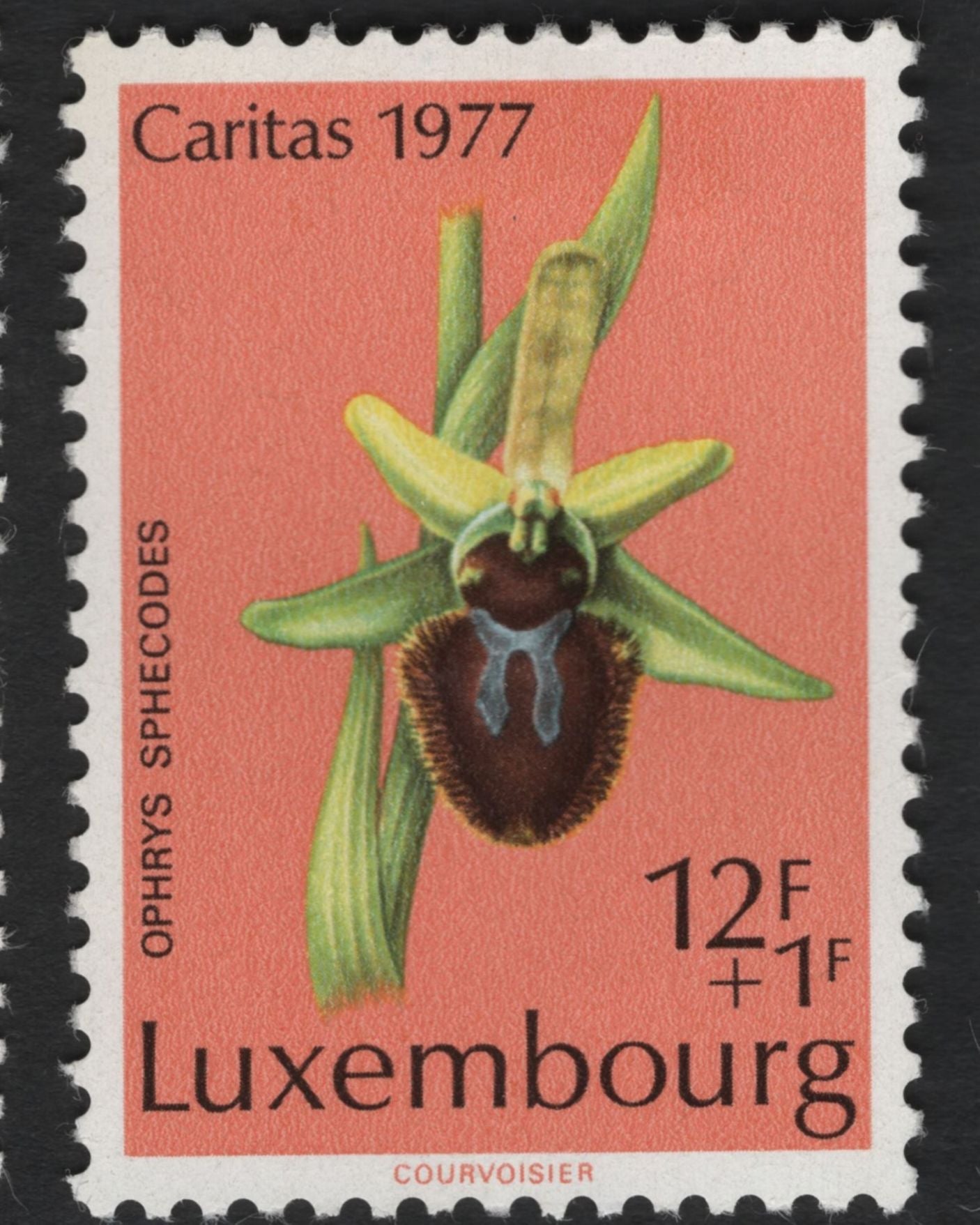 SCG11092 - Luxembourg – Caritas Semi-Postal Floral & Orchid Series (1975–1977)