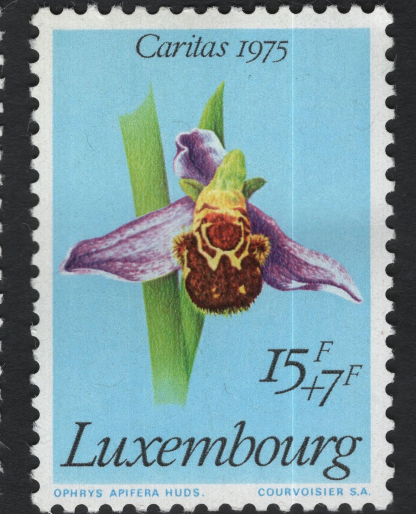 SCG11092 - Luxembourg – Caritas Semi-Postal Floral & Orchid Series (1975–1977)