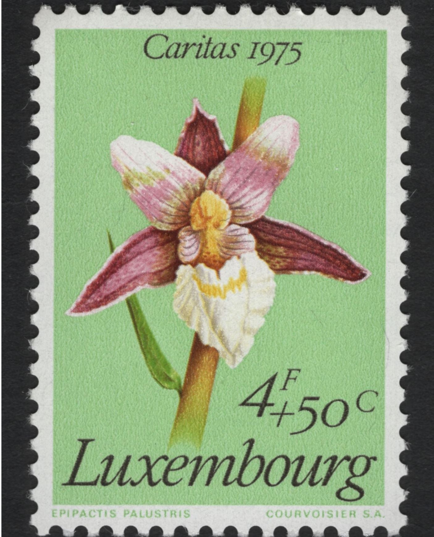 SCG11092 - Luxembourg – Caritas Semi-Postal Floral & Orchid Series (1975–1977)