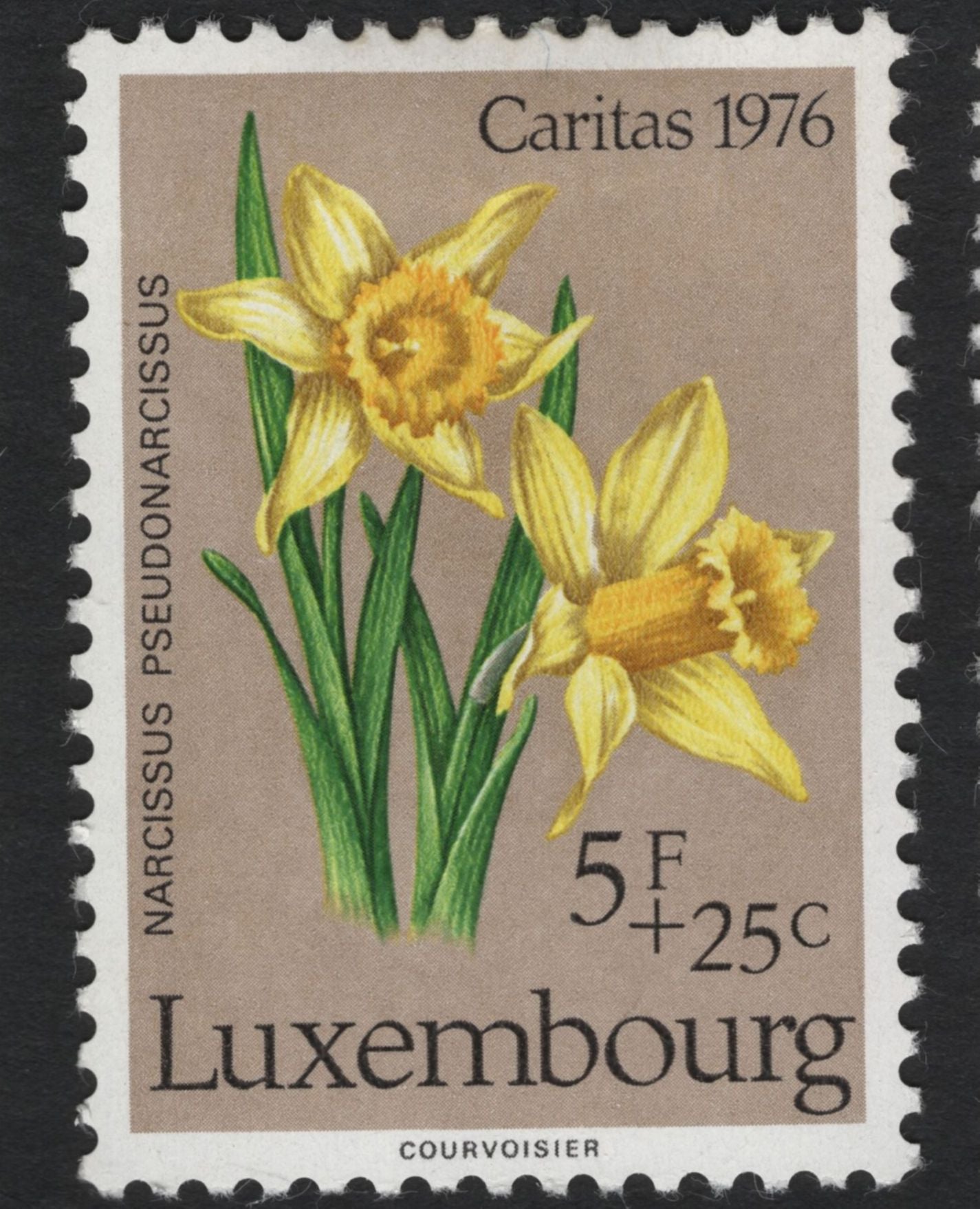 SCG11092 - Luxembourg – Caritas Semi-Postal Floral & Orchid Series (1975–1977)