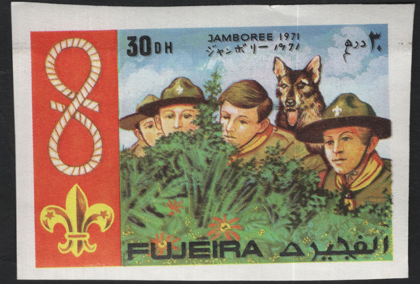 SCG11073 - Fujairah 1971 World Scout Jamboree – Scout Leader (50 Dh)