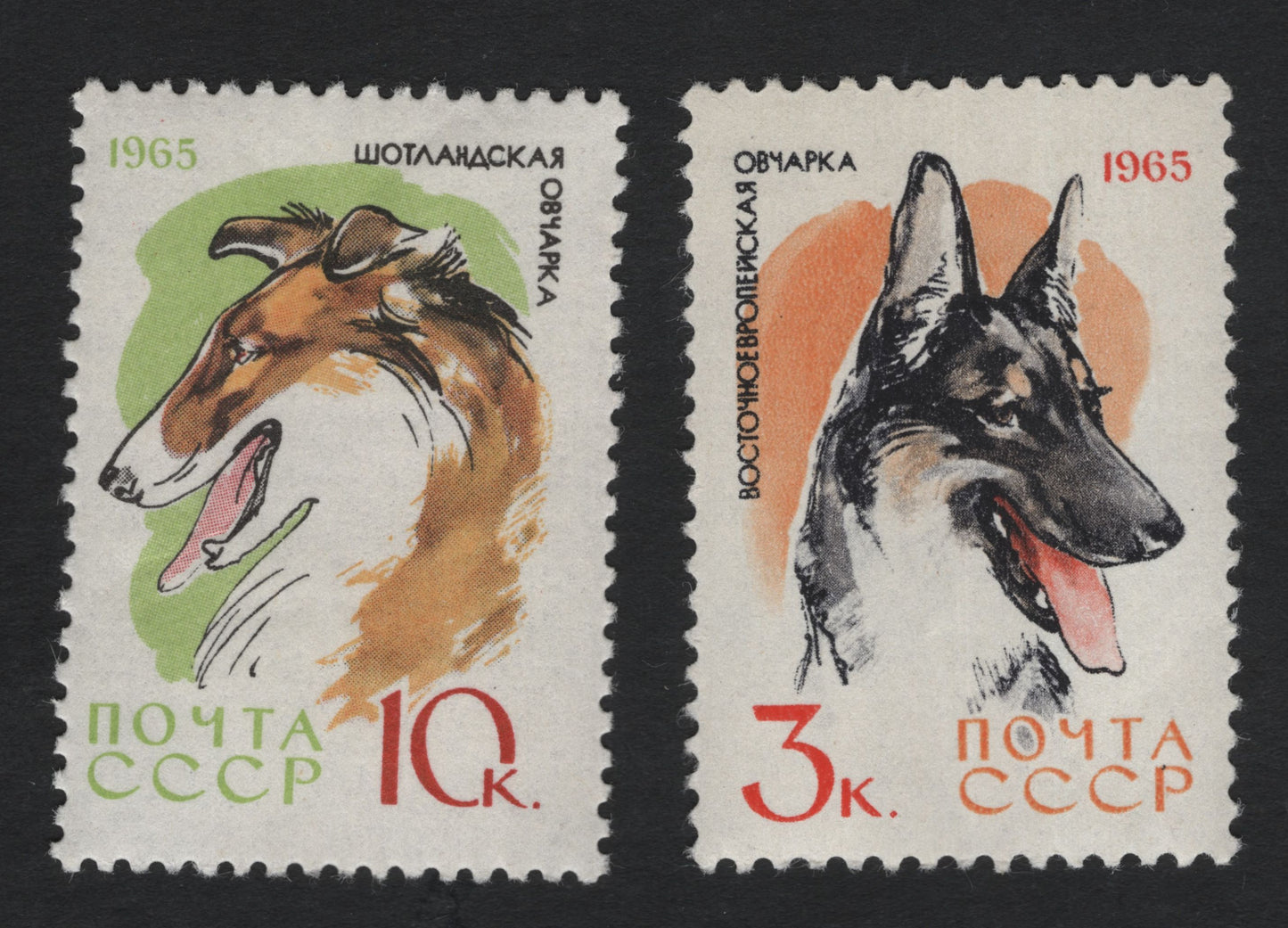 SCG11078 - USSR 1965 Dog Breeds – Scottish Shepherd & East European Shepherd (Pair)