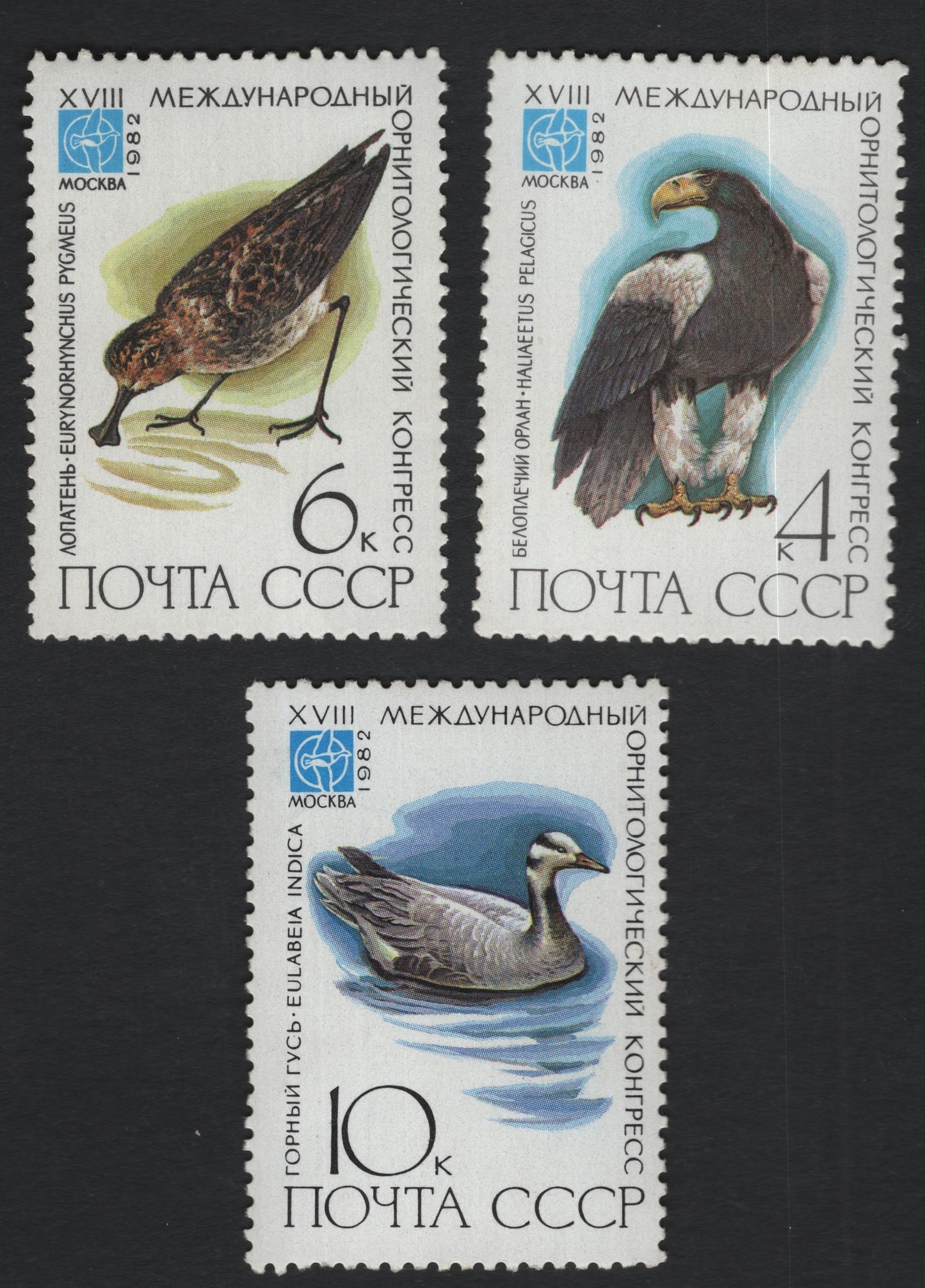 SCG11079 - USSR 1982 Ornithological Congress – Birds Set (International Ornithology Congress, Moscow)