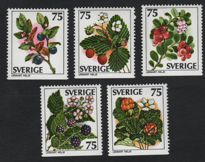 SCG11081 - Sweden – Wild Berries & Forest Fruits (Set of 5)