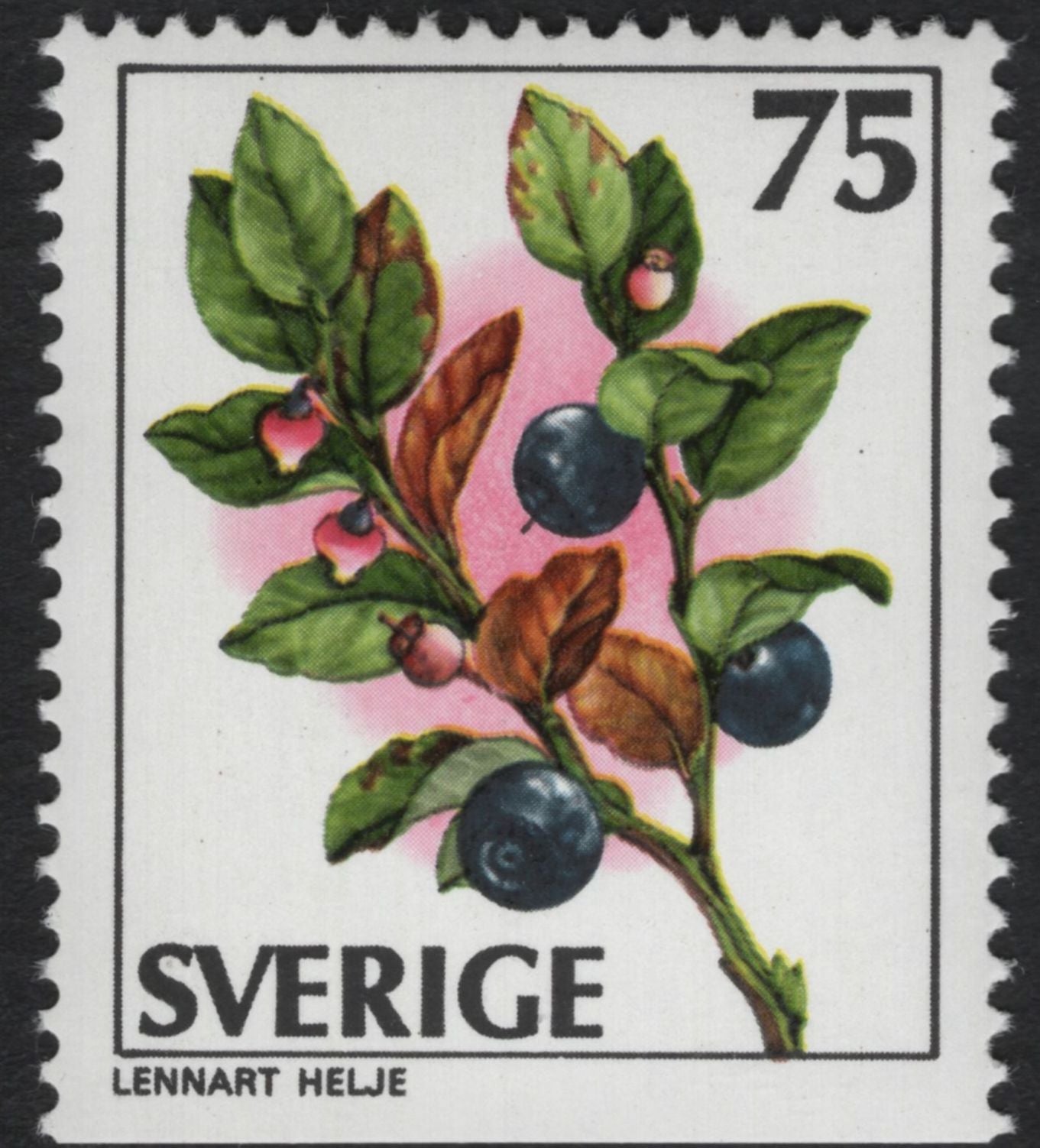 SCG11081 - Sweden – Wild Berries & Forest Fruits (Set of 5)