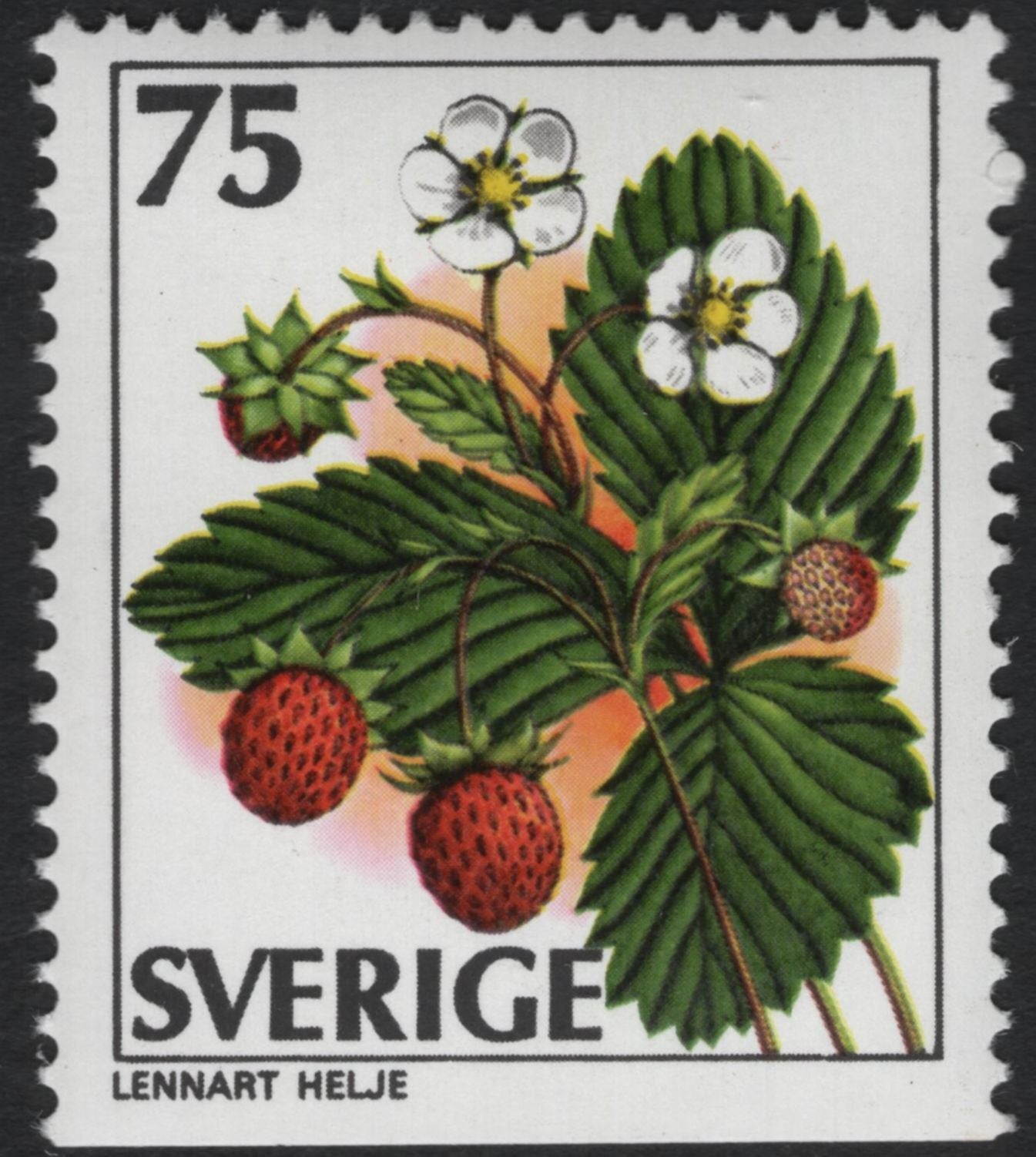 SCG11081 - Sweden – Wild Berries & Forest Fruits (Set of 5)