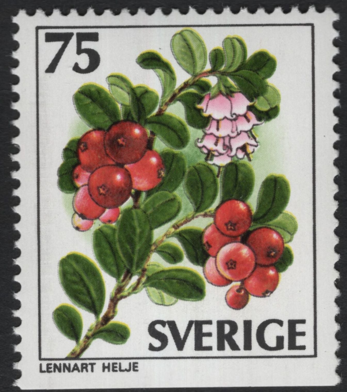 SCG11081 - Sweden – Wild Berries & Forest Fruits (Set of 5)