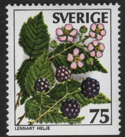 SCG11081 - Sweden – Wild Berries & Forest Fruits (Set of 5)