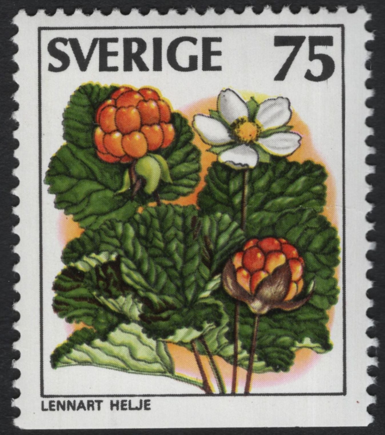SCG11081 - Sweden – Wild Berries & Forest Fruits (Set of 5)