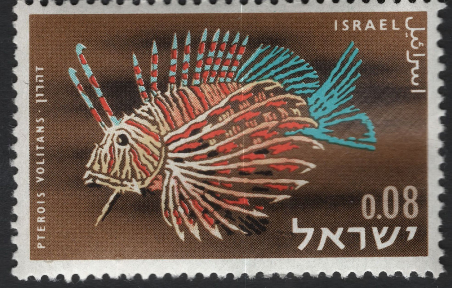 SCG11082 - Israel Tropical Fish Series – Coral Reef Species (Set of 4)