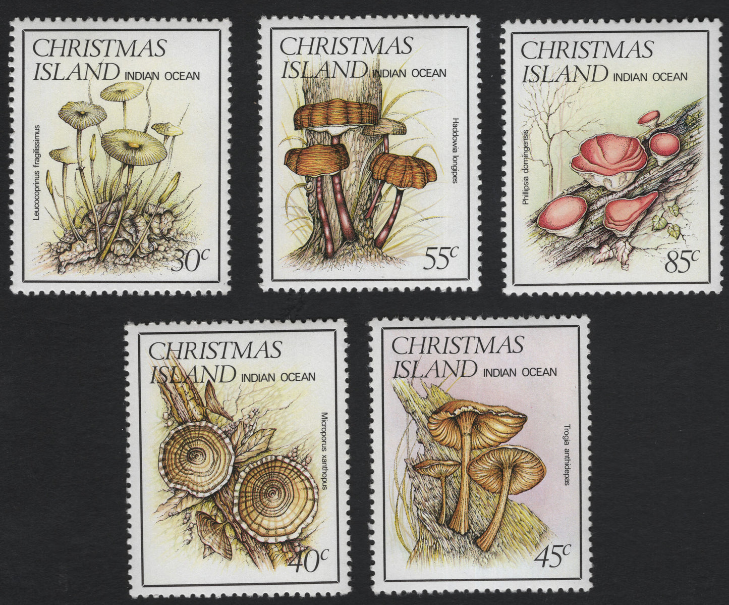 SCG11085 - Christmas Island (Indian Ocean) – Native Fungi & Mushrooms Definitives, Complete Set (5v)
