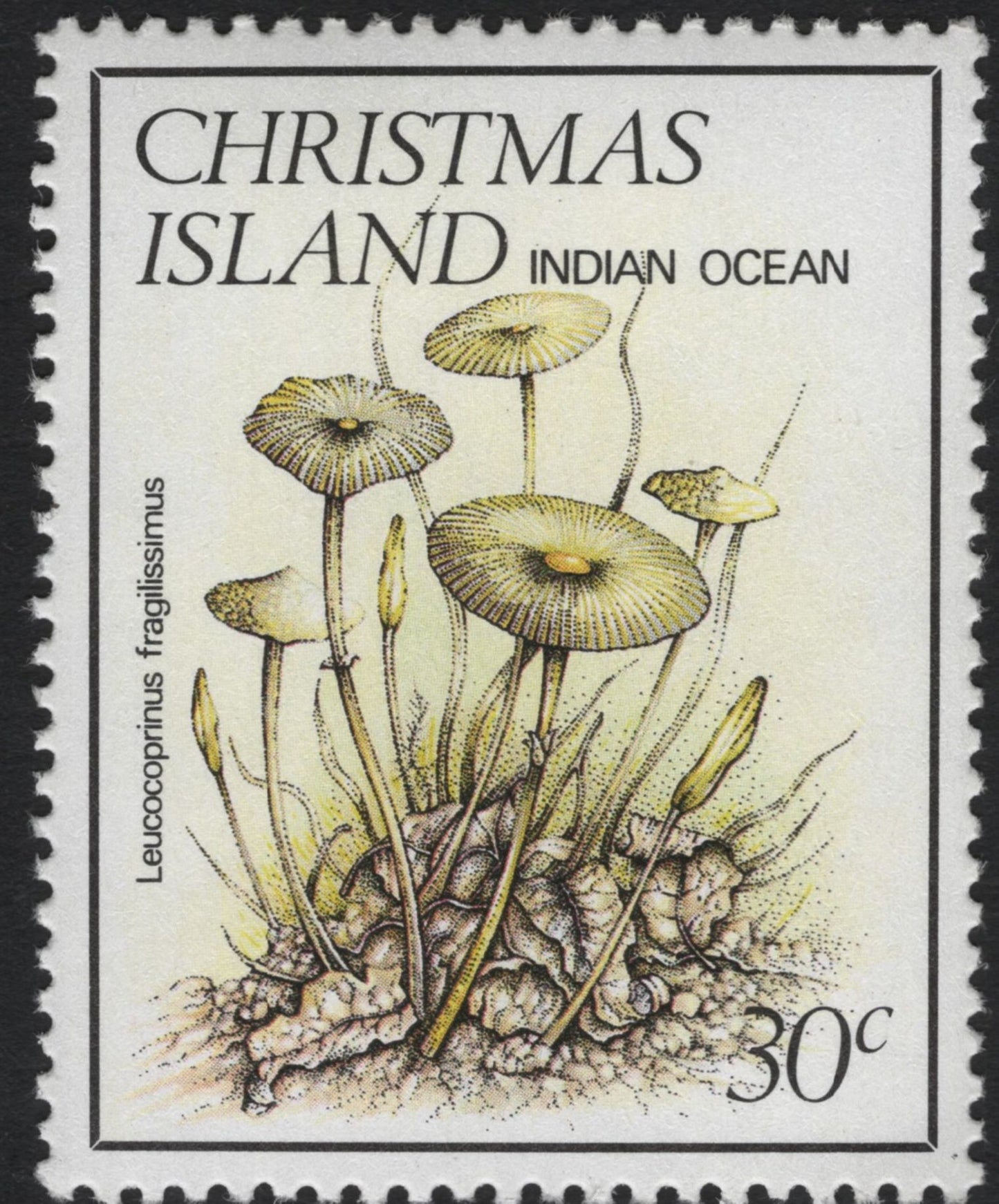 SCG11085 - Christmas Island (Indian Ocean) – Native Fungi & Mushrooms Definitives, Complete Set (5v)