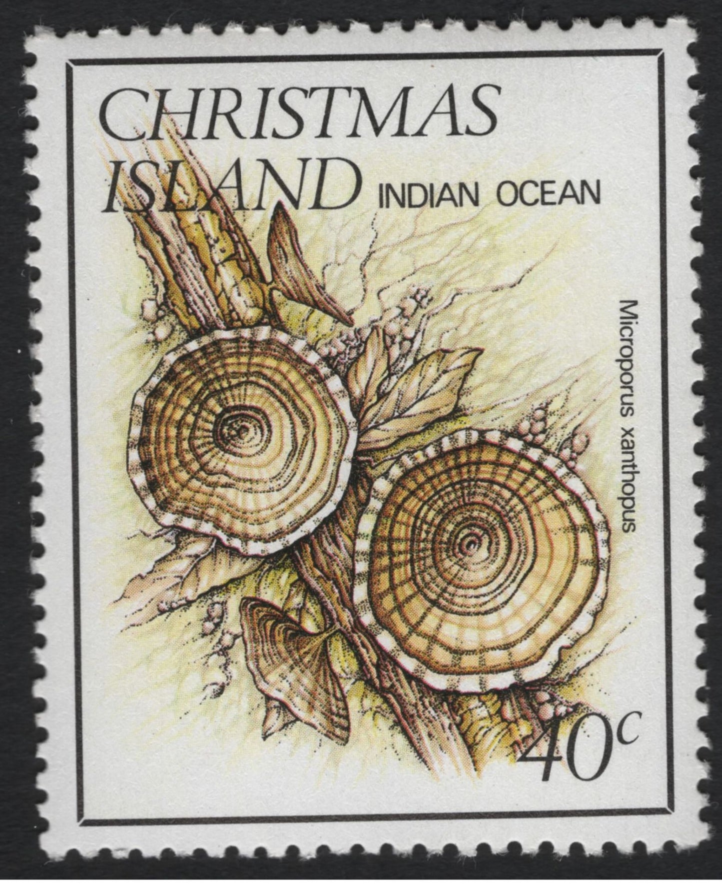 SCG11085 - Christmas Island (Indian Ocean) – Native Fungi & Mushrooms Definitives, Complete Set (5v)