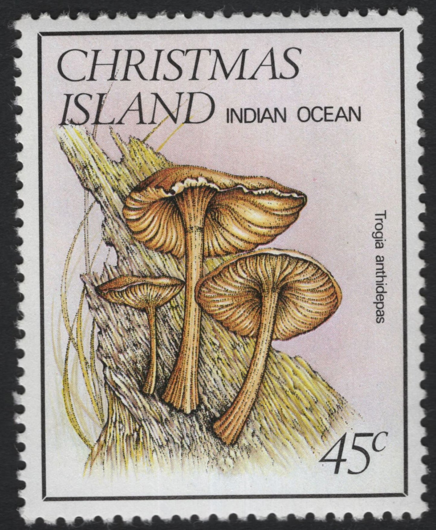 SCG11085 - Christmas Island (Indian Ocean) – Native Fungi & Mushrooms Definitives, Complete Set (5v)