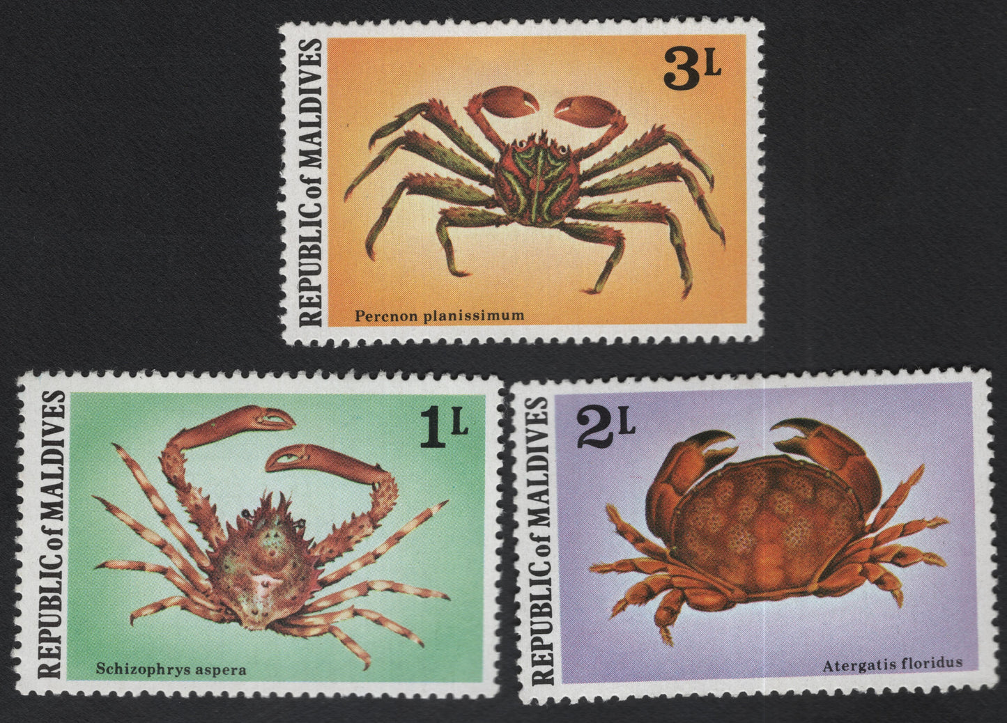 SCG11149 - Republic of Maldives – Marine Crabs Definitive Set