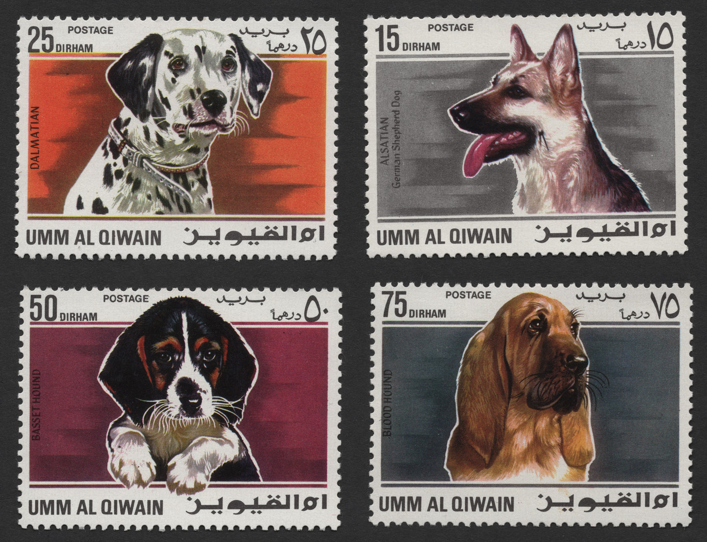 SCG430 - Umm Al Qiwain Dog Breeds Stamp Set — Dalmatian, Alsatian, Basset Hound, Bloodhound