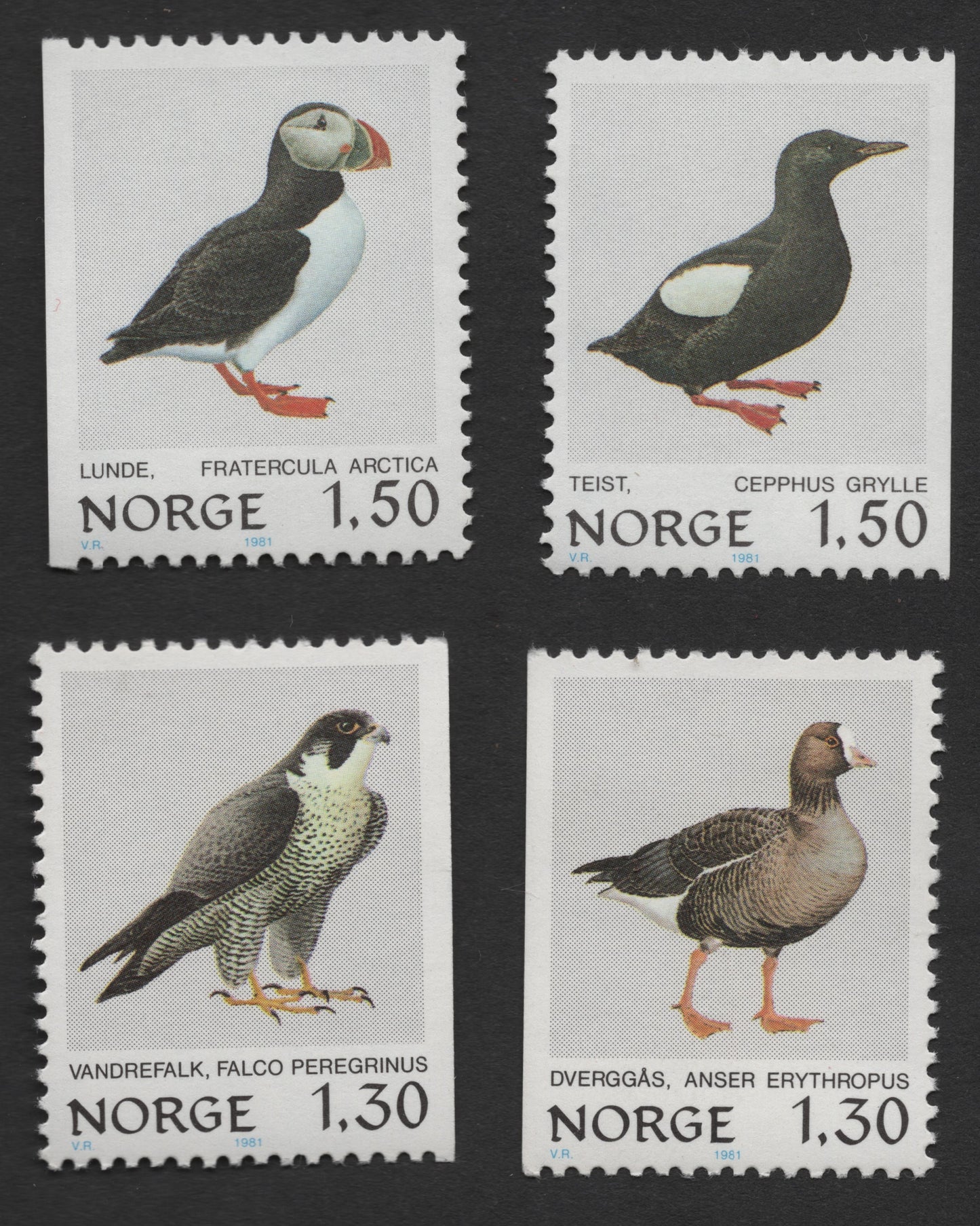 SCG345 - Norway 1981 Bird Series – Complete Set of 4 (MNH)