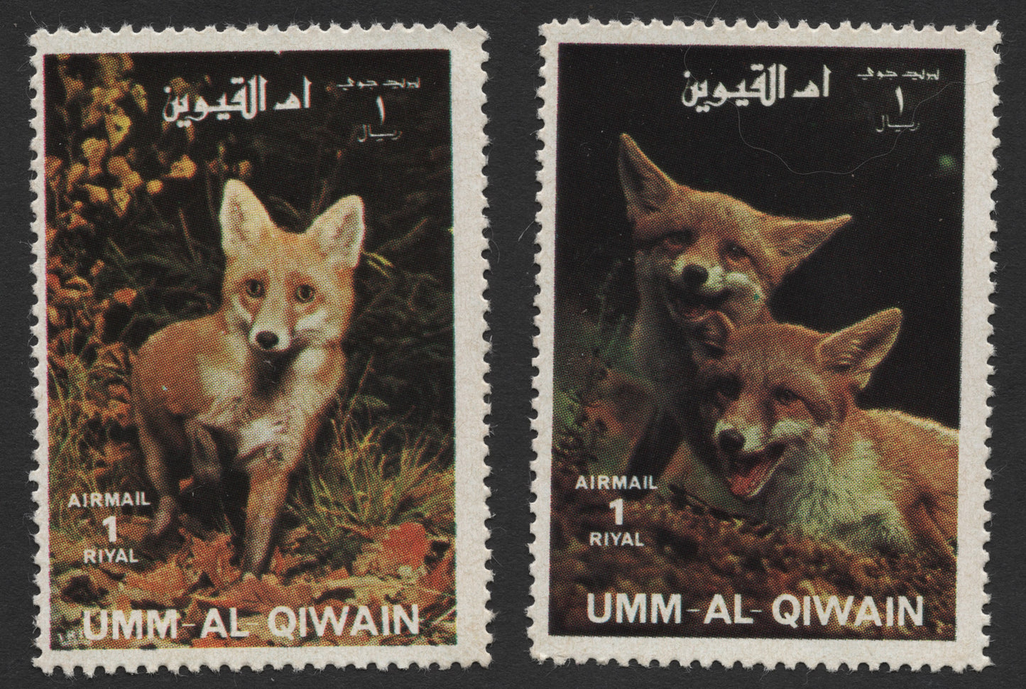 SCG433 - Umm Al Qiwain Airmail Stamps — Red Fox in Nature Pair