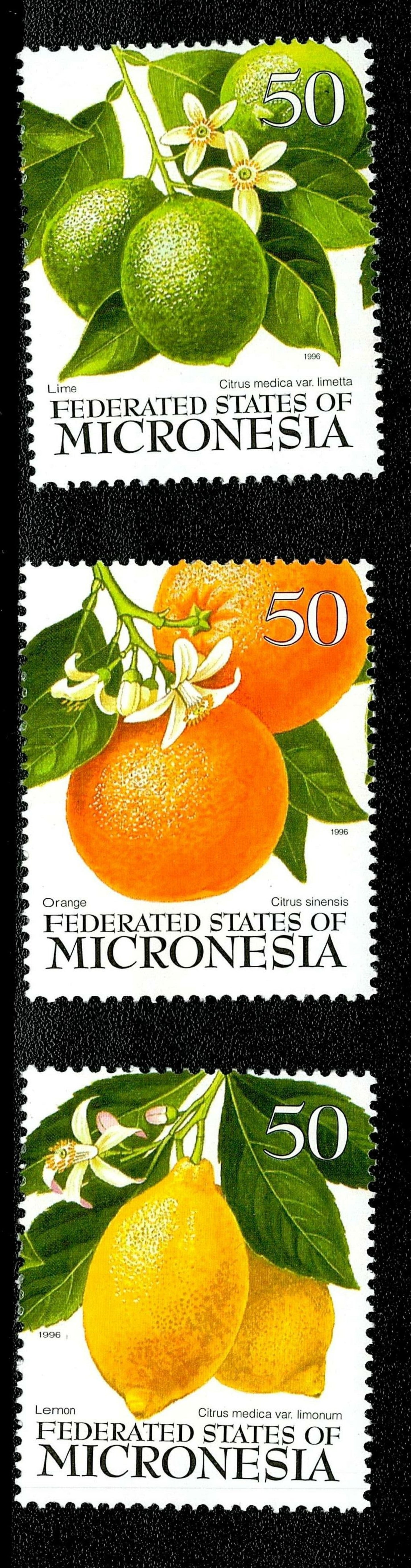SCG135 Micronesia Citrus Fruit Stamps Set – Lime, Orange & Lemon (50c) 1996