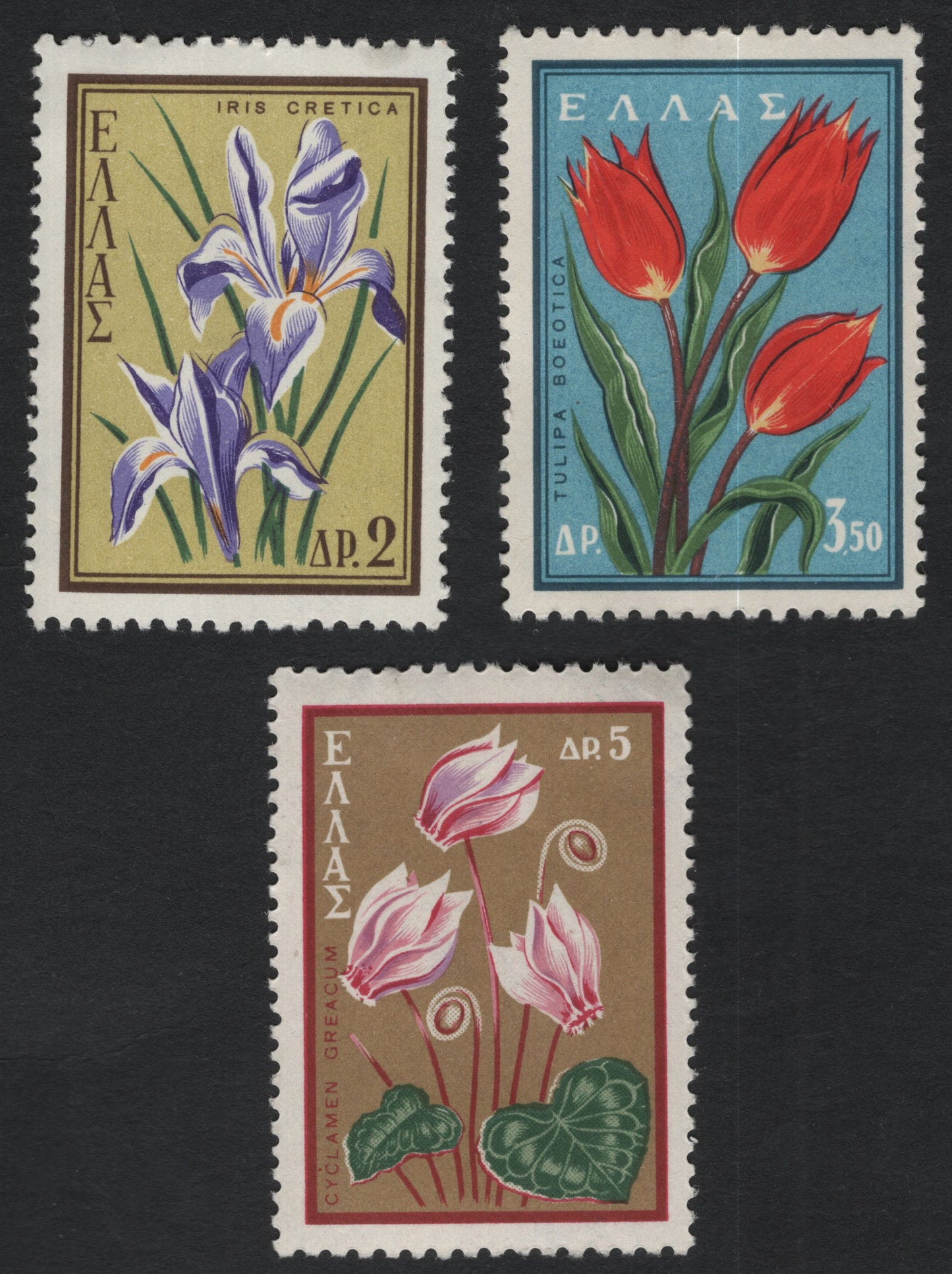 SCG11187 - 🇬🇷 Greece – Native Flora Definitives (Flowers of Greece) – 1954